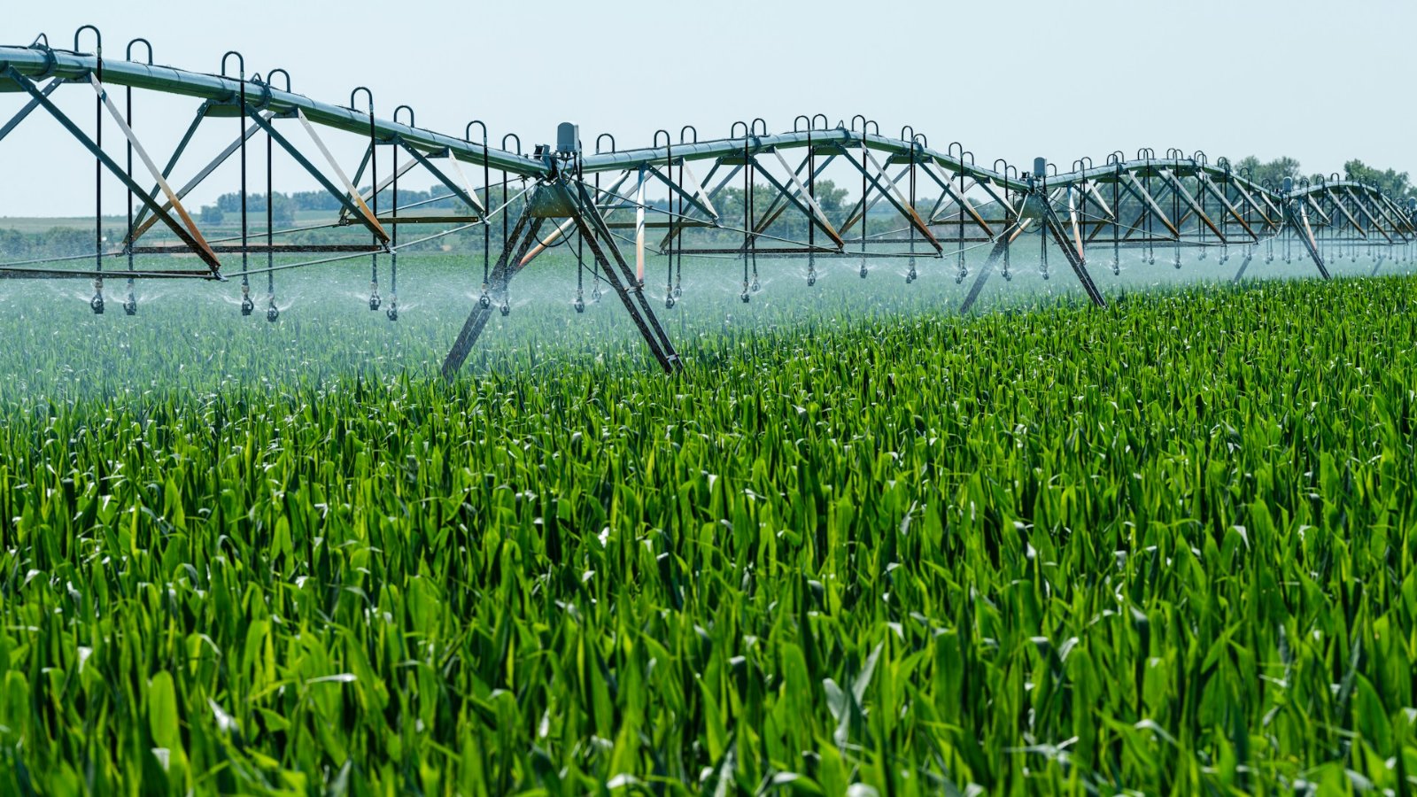 Illustrative photograph of a centre-pivot irrigation system watering a green corn crop in Nebraska, USA.