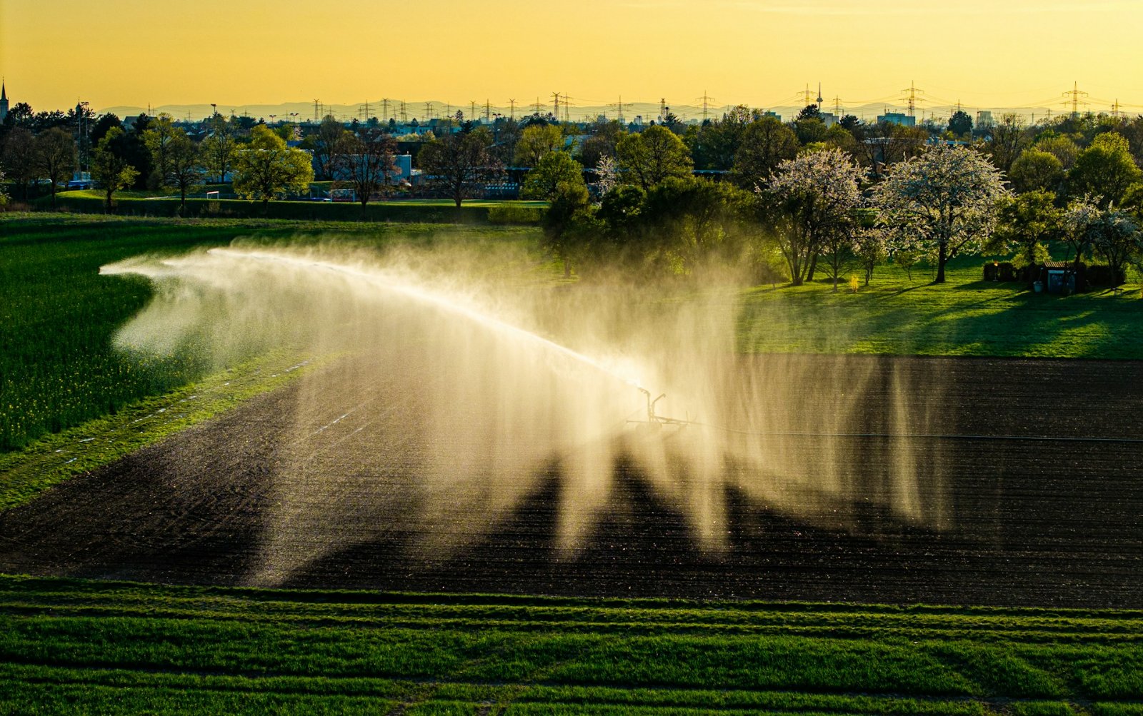 Sprinklers irrigating a cultivated field in early morning light in Heddesheim, Germany. Illustrative photograph.