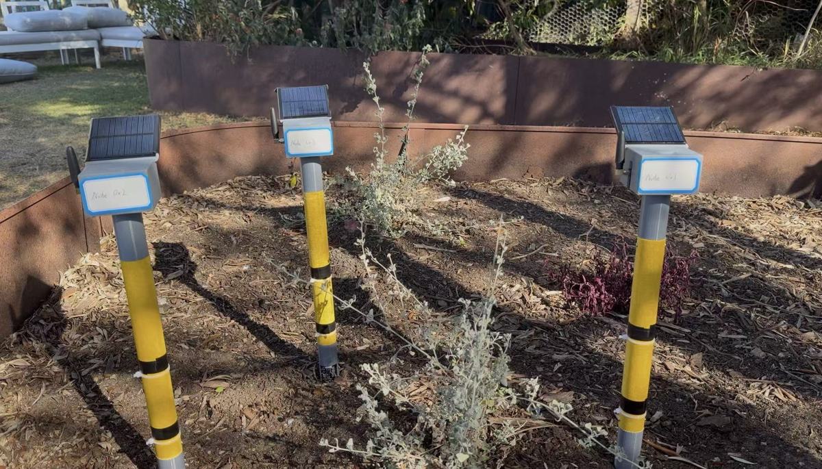 Aurai Sensing prototype field nodes with solar panels in a garden bed